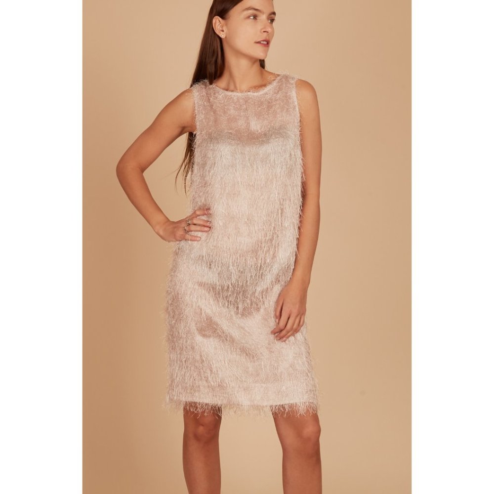 🍋3 for $20🍋 New Champagne Shimmer Fringed Sheer Dress Size S